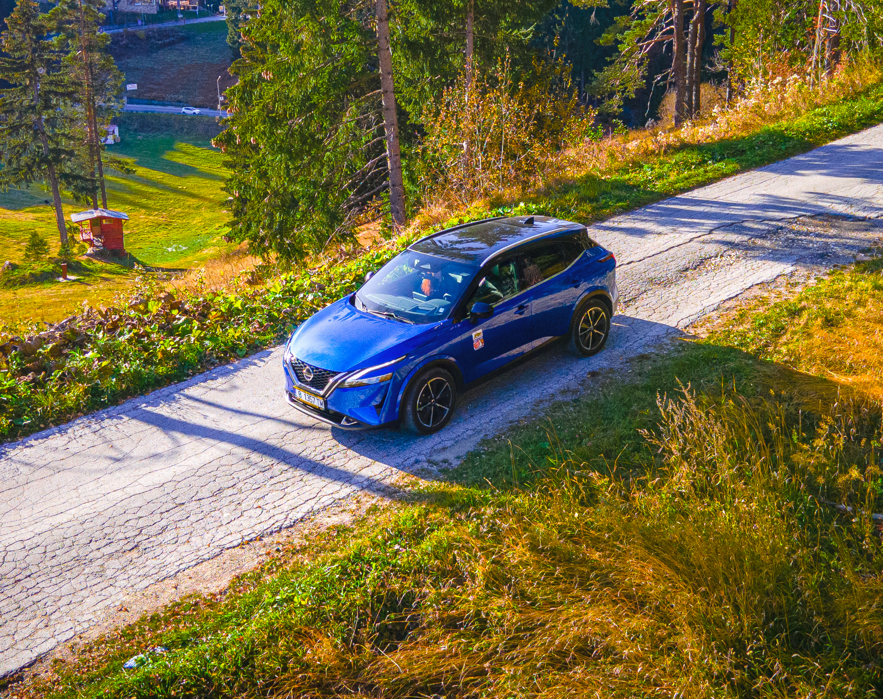 A rental car on a road surrounded by trees