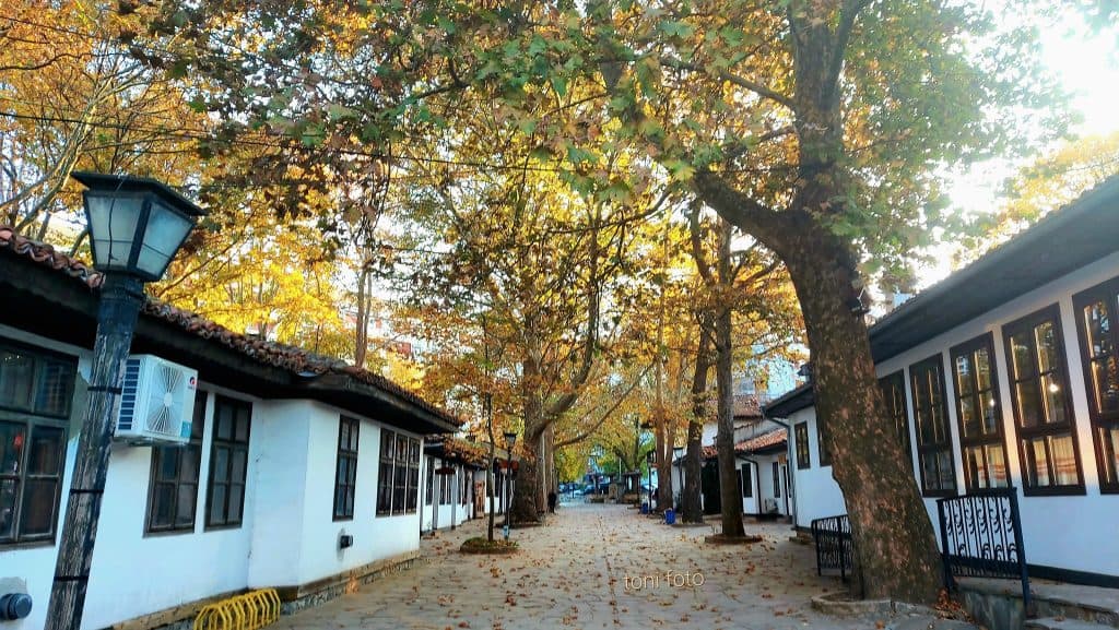 Houses in Dobrich