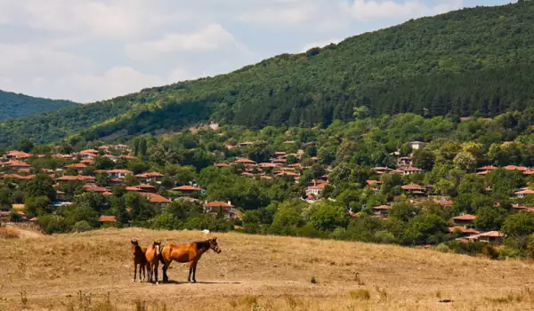 Zheravna