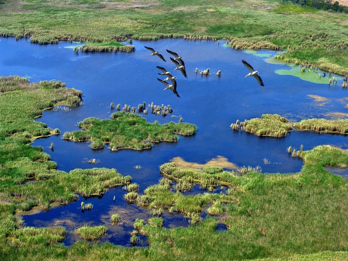 Srebarna Nature reserve