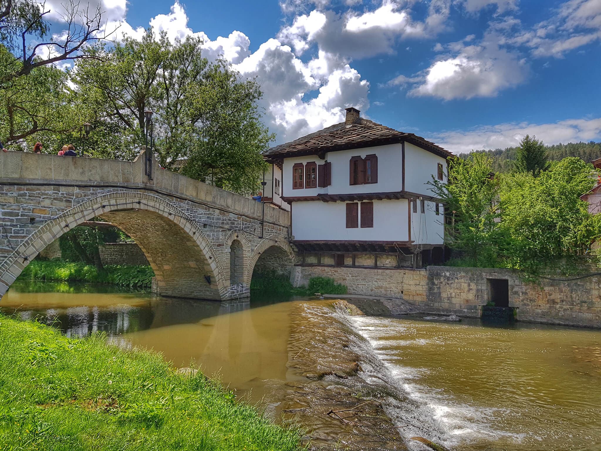 Tryavna